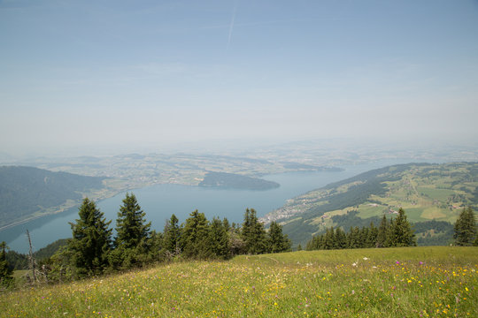 Aussicht mit sch&ouml;ner Bl&uuml;tenwiese Gnipen Gipfel, Zugersee, Richtung Immensee und Risch