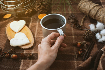picnic in nature, hands holding a cup of coffee, plaid