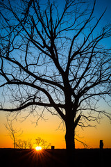 Week 19: Story: Back Yard