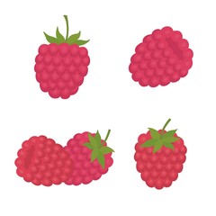 Search photos red raspberries vector