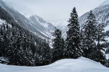 Fototapeta na wymiar alps #1.