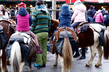 Trsporto  di una volta