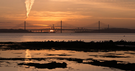 Forth Bridges Sunrise