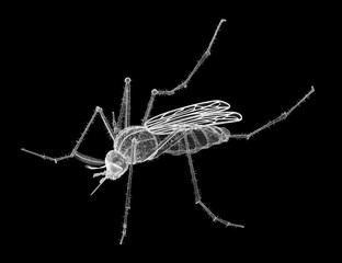 mosquito in wire carcass