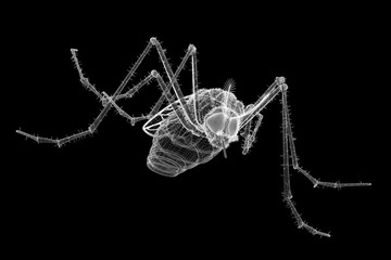 mosquito in wire carcass