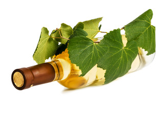 a bottle of wine with a vine