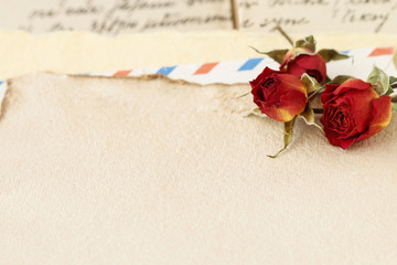 Dried roses and sheet of vintage paper