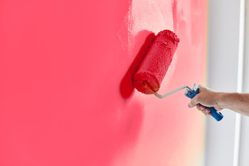 Male hand painting wall with paint roller. Painting apartment, renovating with pink color paint