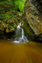 Forest waterfall