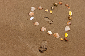 Fototapeta na wymiar Heart shape in the beach sand made from shells