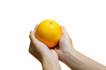 Woman's hand holding orange on white background