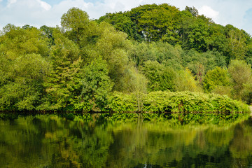 Ruhrufer bei Essen-Heisingen