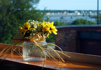 Yellow Daisies in the Sun with the coast of Maine in the background