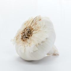 Single head of Garlic cloves on a white background