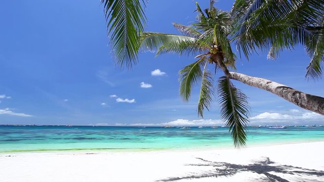 Tropical beach with coconut palm and turquoise water,  travel destinations