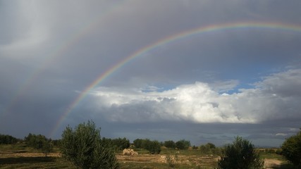 Fototapeta na wymiar rainbow