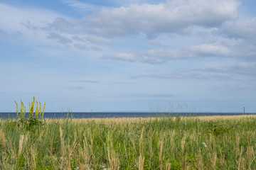 The Beach in Kölpinsee ( Usedom / Germany )