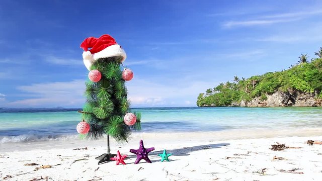 Christmas fir tree with Santa Claus helper hat on sandy beach. New year celebration