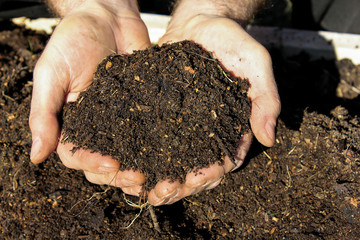Horse Manure Compost