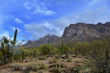 Linda Vista Hiking Trail Oro Valley Arizona