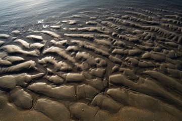 ripples in the sand
