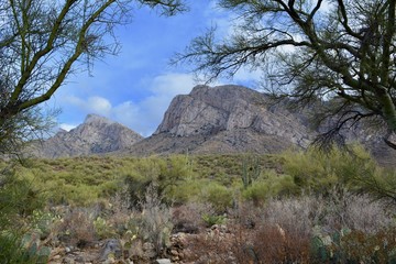 Linda Vista Hiking Trail Oro Valley Arizona