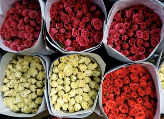Market Roses