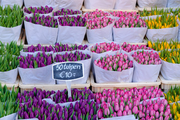 Tulips on sale at the Bloemenmakrt Flower Market in Amsterdam