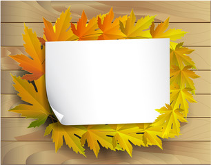 Autumn leaves maple and with papper background