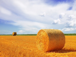 Hay bale in the countryside
