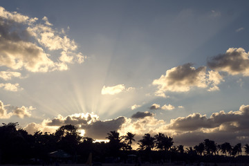 Sunset over the beach with palm trees