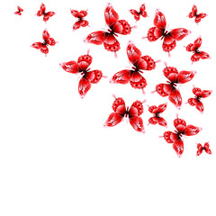 red butterflies, isolated ,valentine card