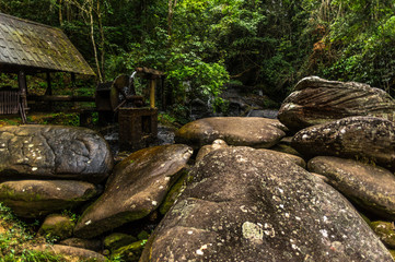 boulders in a creek with a water wheel in a rain forest