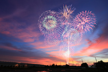 New year fireworks on twilight sky background.