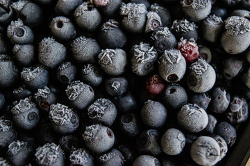 Frozen bilberries - texture -Black berries covered by ice