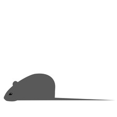 Mouse Isolated