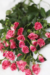Bouquet of red roses on a white background
