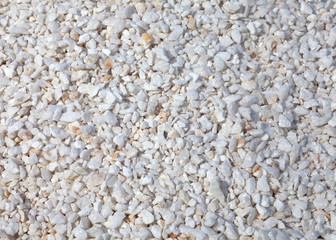 White sparkle attractive stones as beautiful background, decoration for garden and yard.