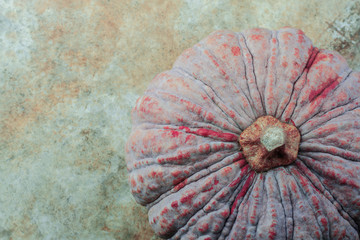 Pumpkin on cement.