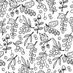 Fototapeta premium Seamless Pattern with Berries on Branches.Seamless Vector Pattern with Hand Drawn Doodle Berries.