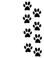 Paw Prints in the snow