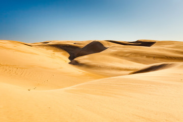 Fototapeta na wymiar Sand dunes of pismo beach, California