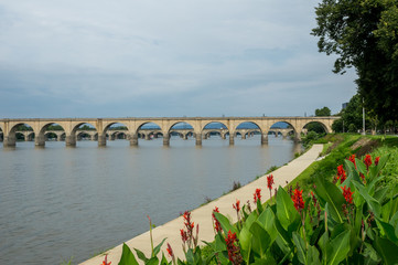 Bridge over River with Flowers in Foreground