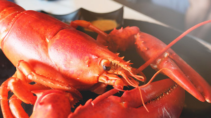 boiled lobster