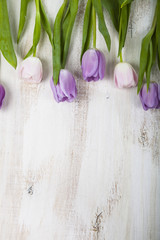 Bouquet of lilac tulips