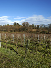 Fototapeta premium franciacorta