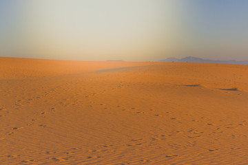 Beautiful views of the Gobi desert. Mongolia.
