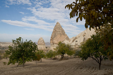 Cappadocia Vineyard