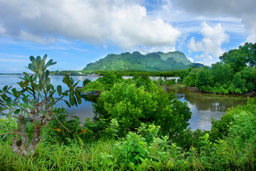 Fototapeta na wymiar Kosrae - an island in Federated States of Micronesia. 