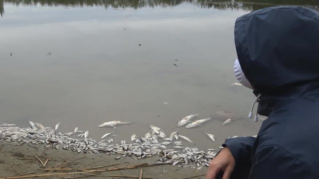 Man With A Hood And A Protective Mask Next To Contaminated Water With Poisoned Dead Fish 